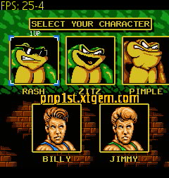 Battletoads and double dragon